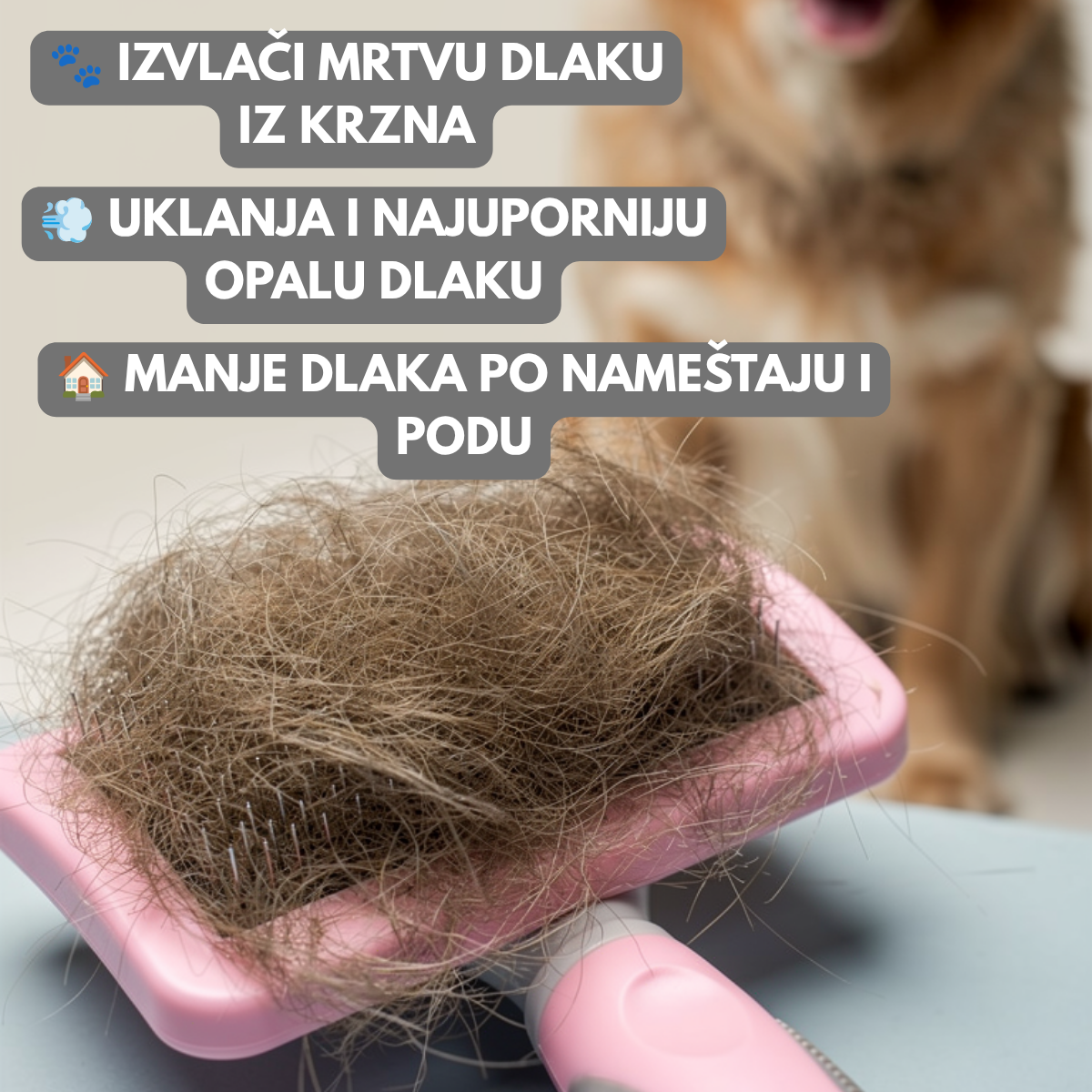 Slicker češalj za pse